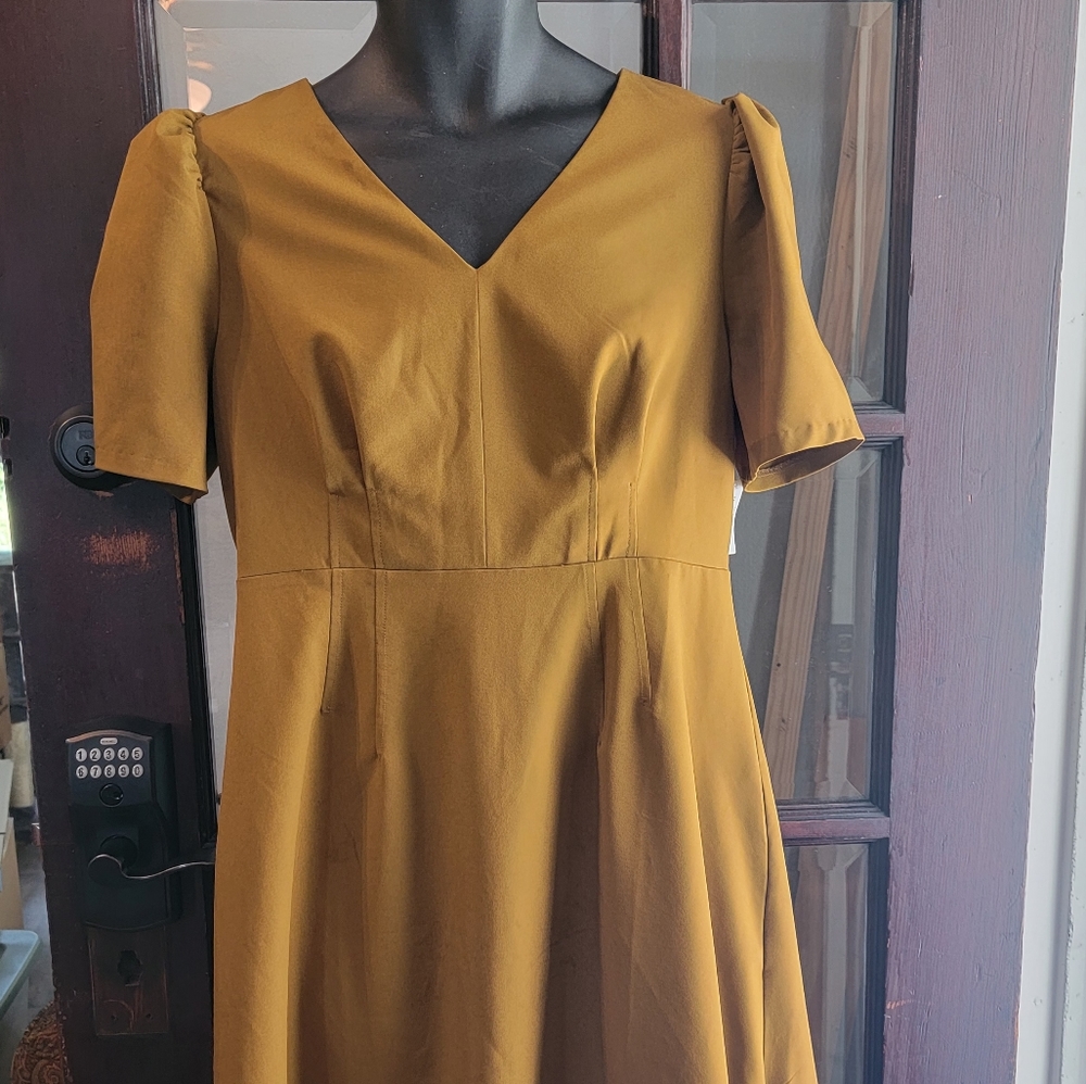 Lark & Ro size 12 Mustard Color Dress B23 - Picture 5 of 10